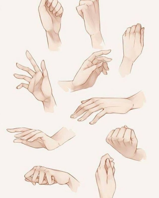 Руки референс