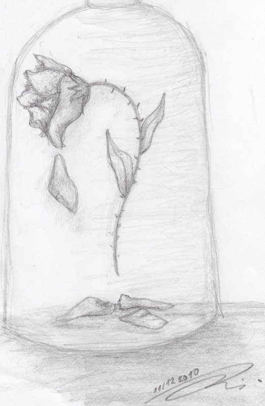 Любые рисунки карандашом