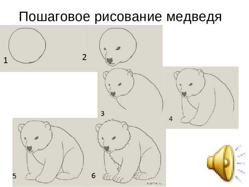 Схема рисования медведя для детей