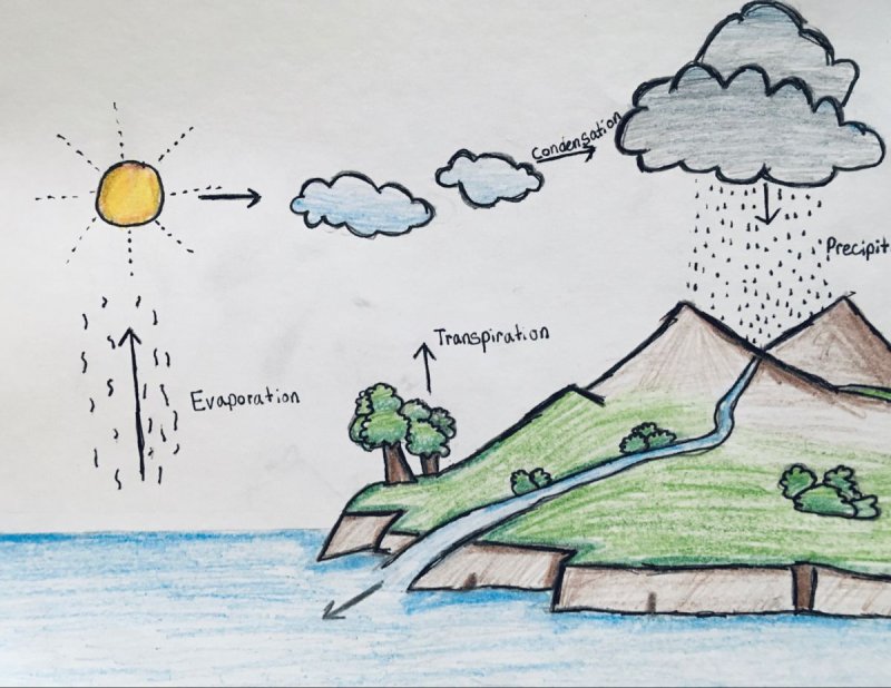Что такое круговорот воды география 5