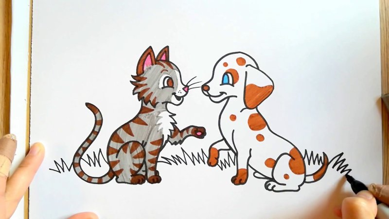 Кошка маркерами