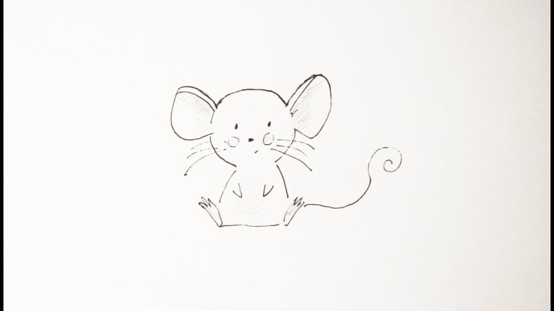 Мышь рисунок карандашом для срисовки