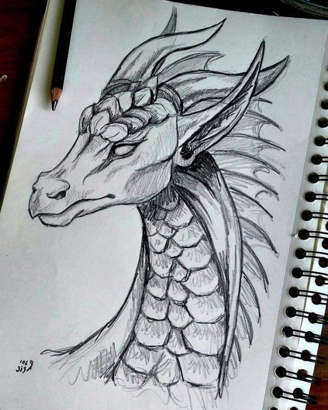 Рисунки карандашом