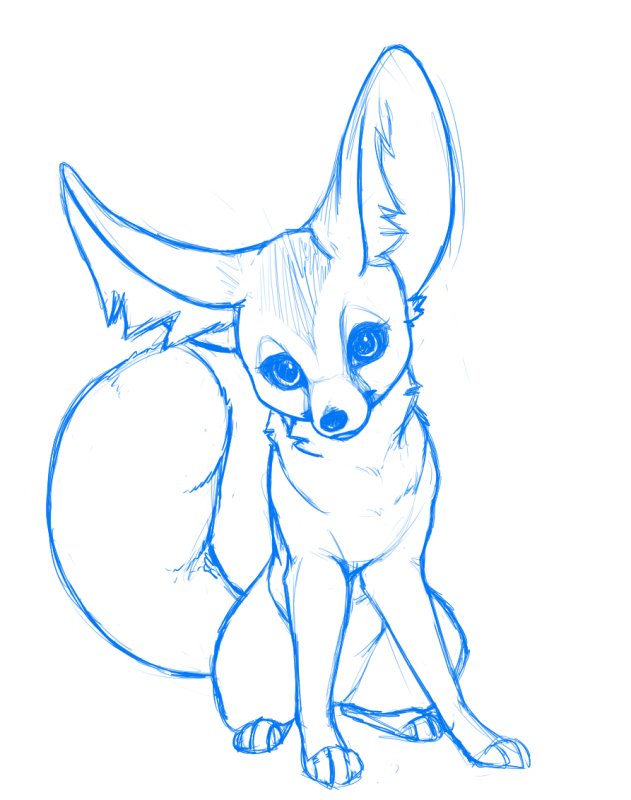 Fennec Fox аниме