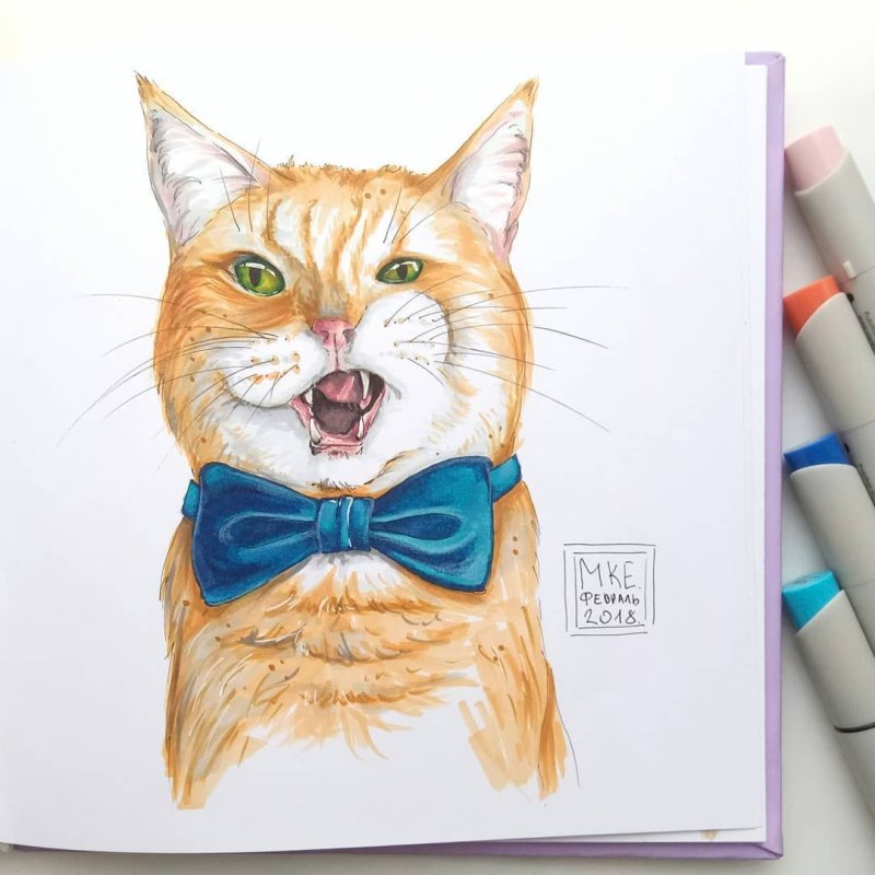 Кошка рисунок маркерами