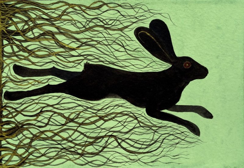 watership down кролики art