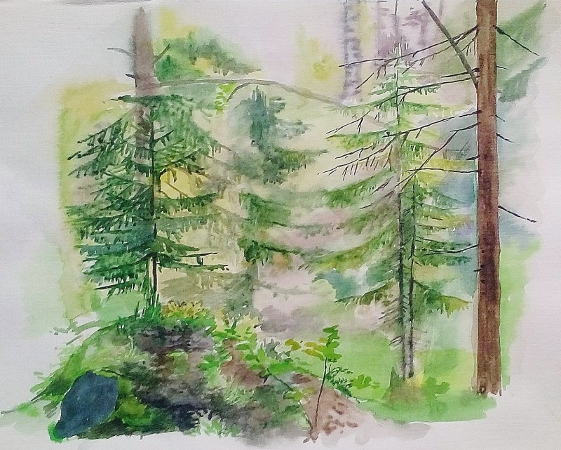 Рисовать лес