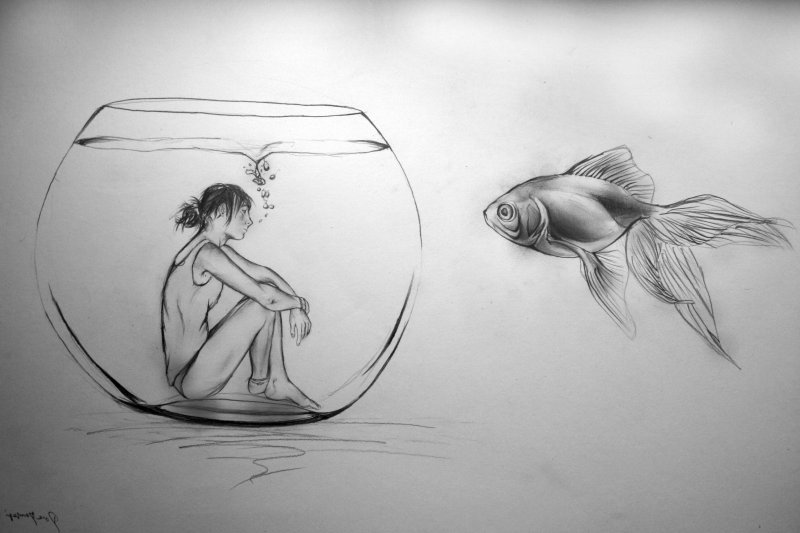 Рисунки карандашом