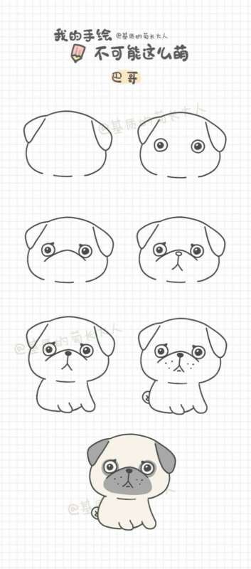 поэтапный рисунок мопса