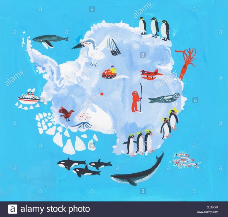 Плакат Антарктида