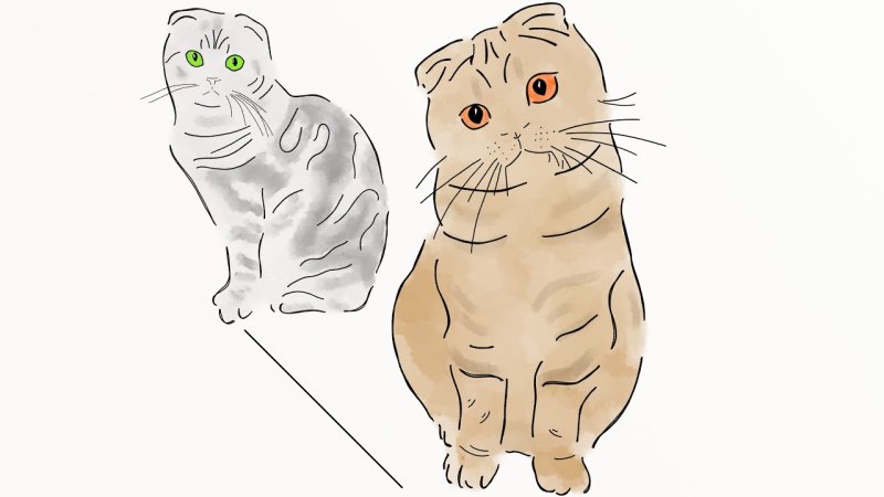 Котик рисунок