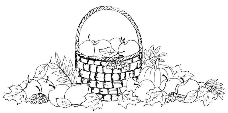 Корзинка с фруктами рисунок