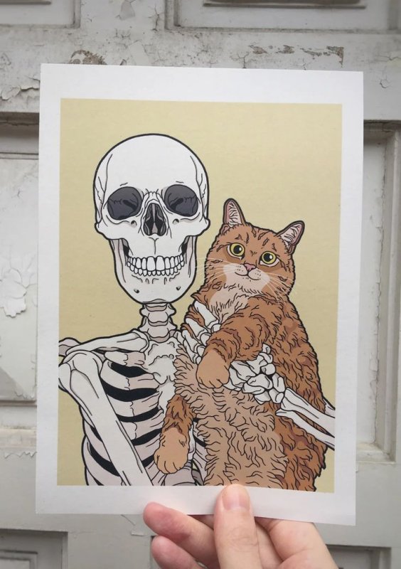 Скелет с котиком