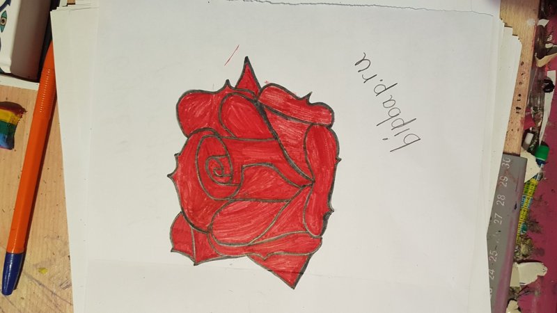 рисунки розы для срисовки