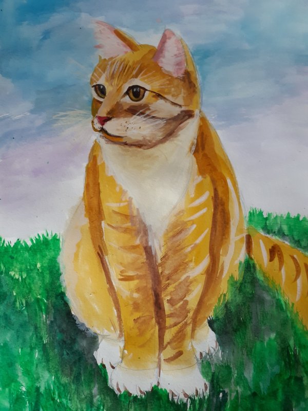 Кот для рисования