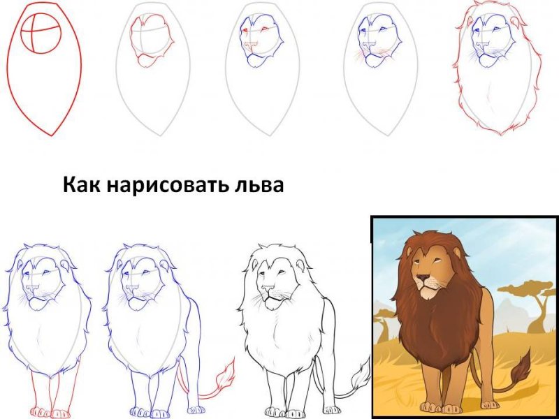 Как рисовать Льва