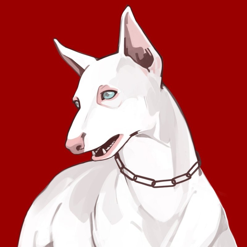 доберман пинчер альбинос