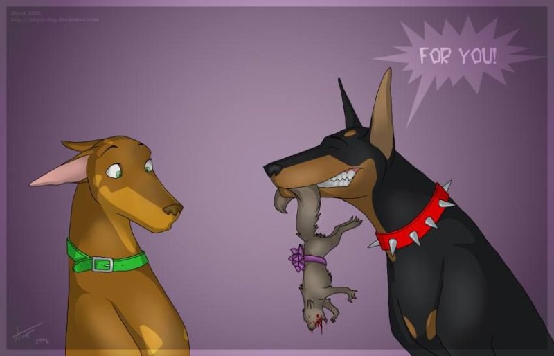 аниме пёс доберман