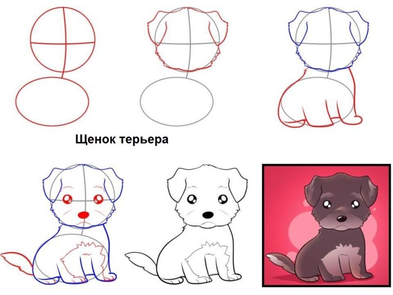 Собака рисунок карандашом