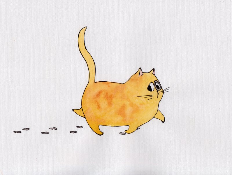 Кот уходит