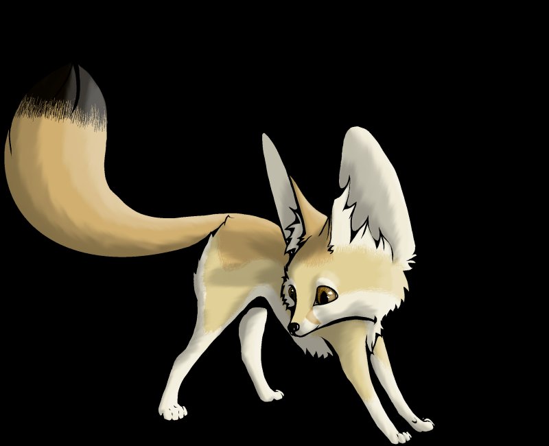 Фенек лиса WILDCRAFT