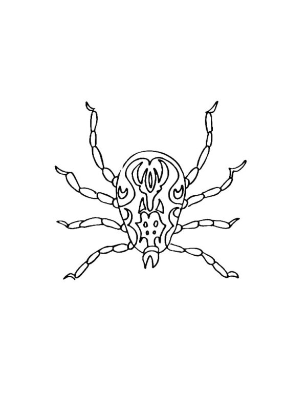 Клещ рисунок для детей