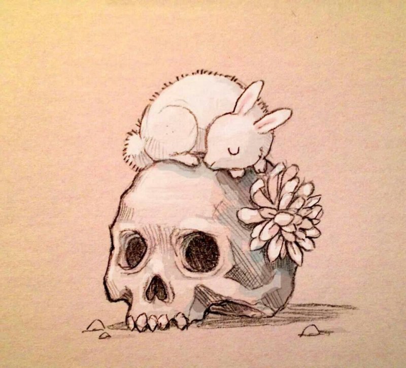 Милый череп рисунок