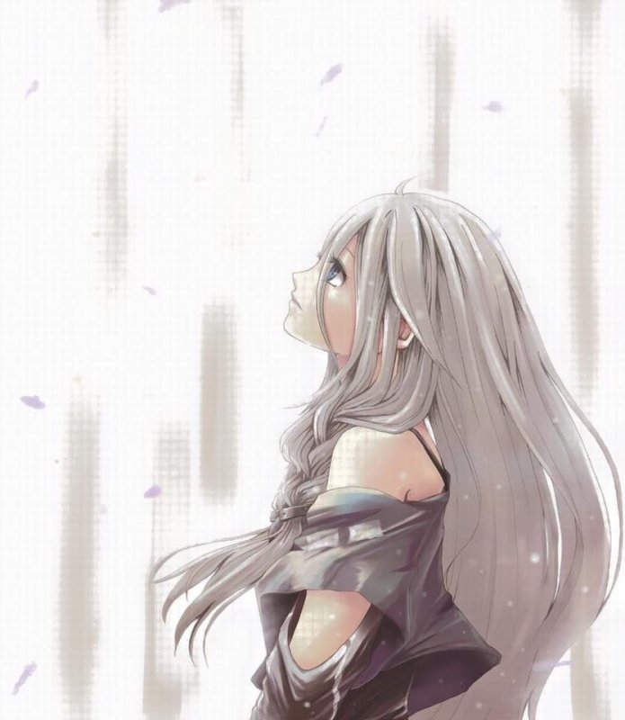 Геншин сероволосые