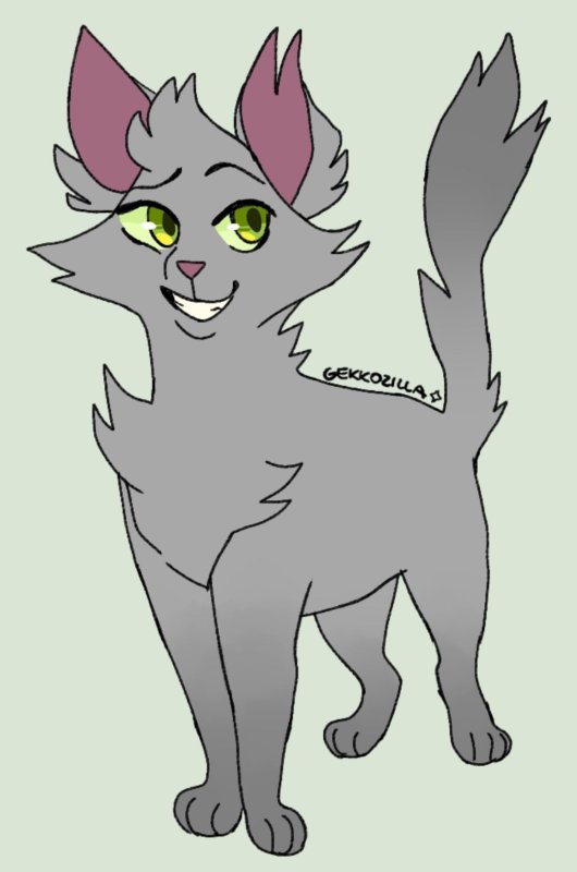 needletail коты воители