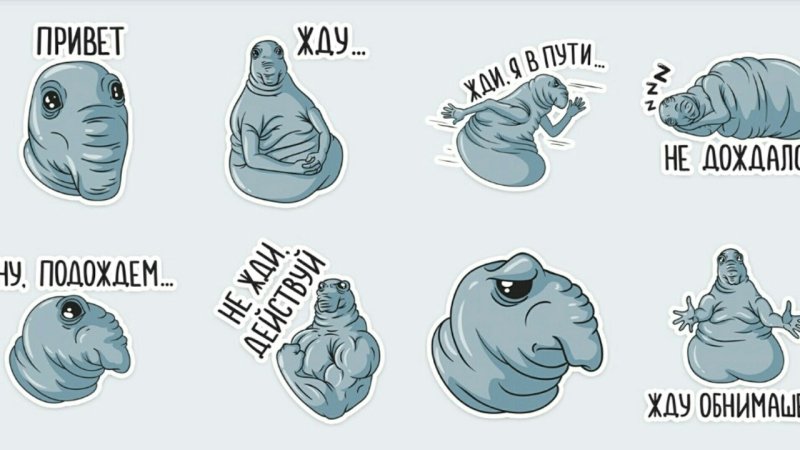 Стикер пак Ждун