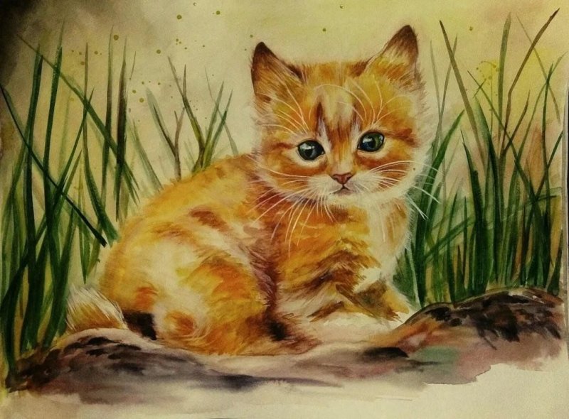 Кошка гуашью