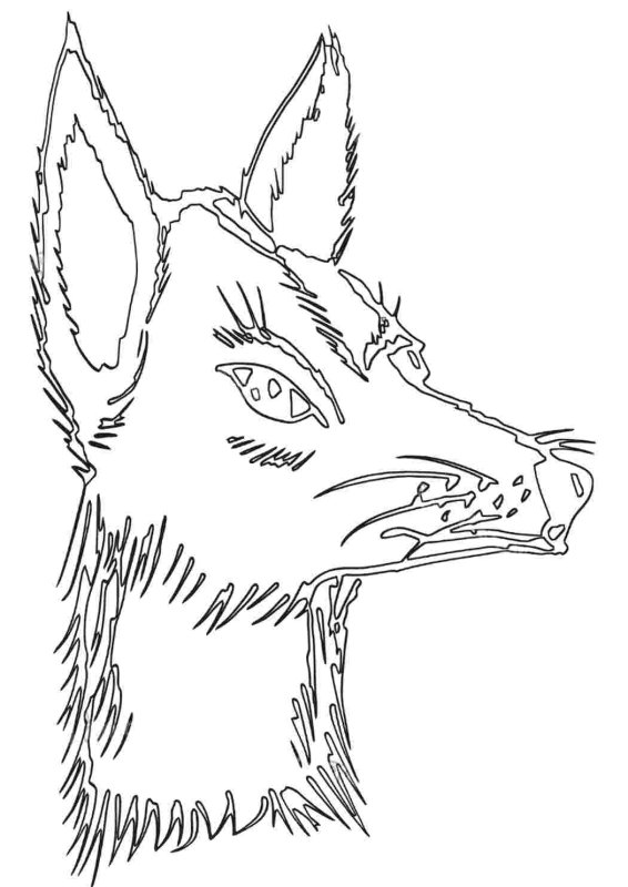 Jackal раскраска