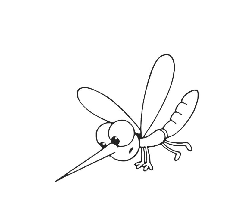 Рисунок комара для детей легкий