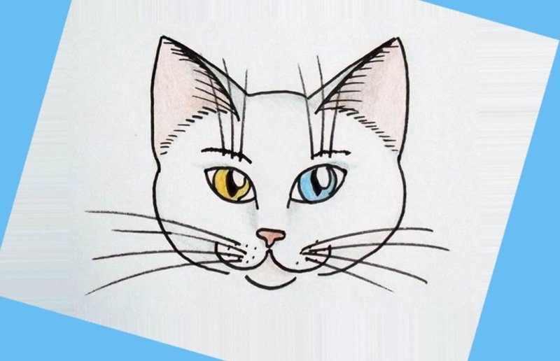 Рисунки котов для срисовки