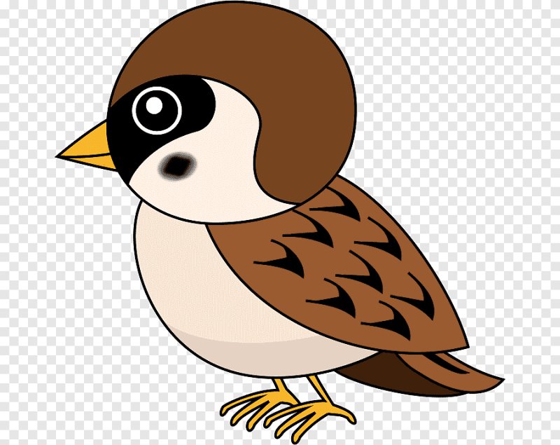 воробей для детей