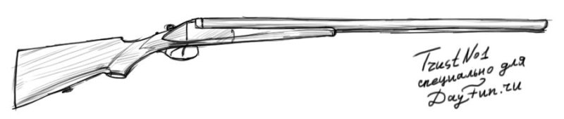 Обрез двустволки ИЖ 43