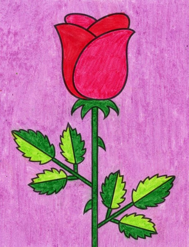 Рисунки цветов