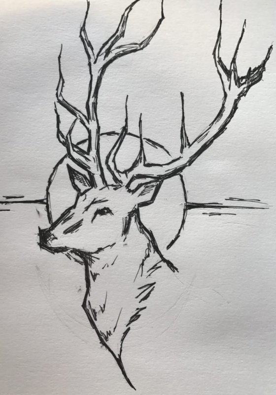 Легкий рисунок пером и тушью