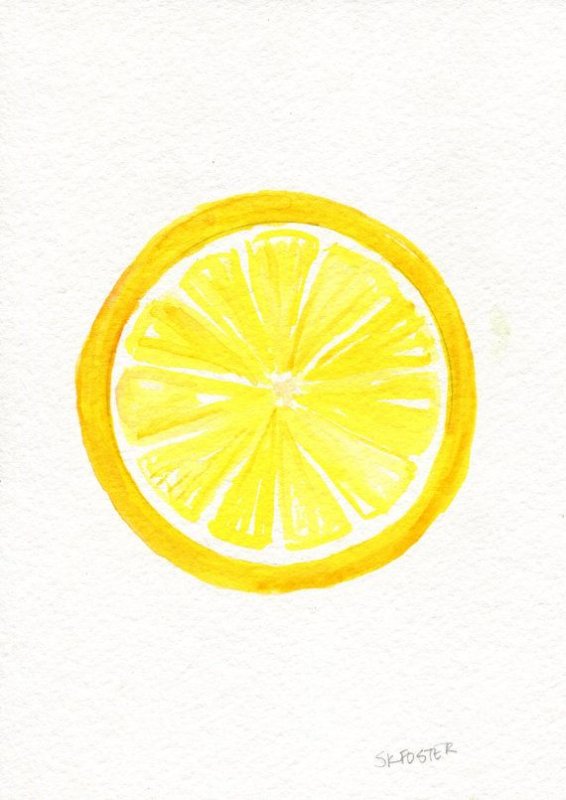 lemon slice