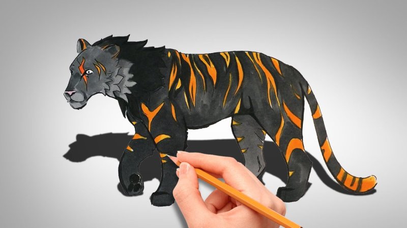 WILDCRAFT тигр