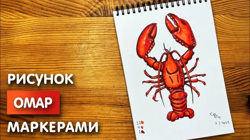 Омар рисунок для детей