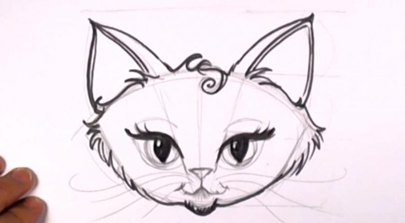 Кошка рисунок карандашом