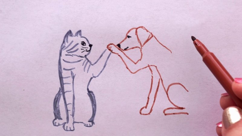 Как нарисовать кота или собаку