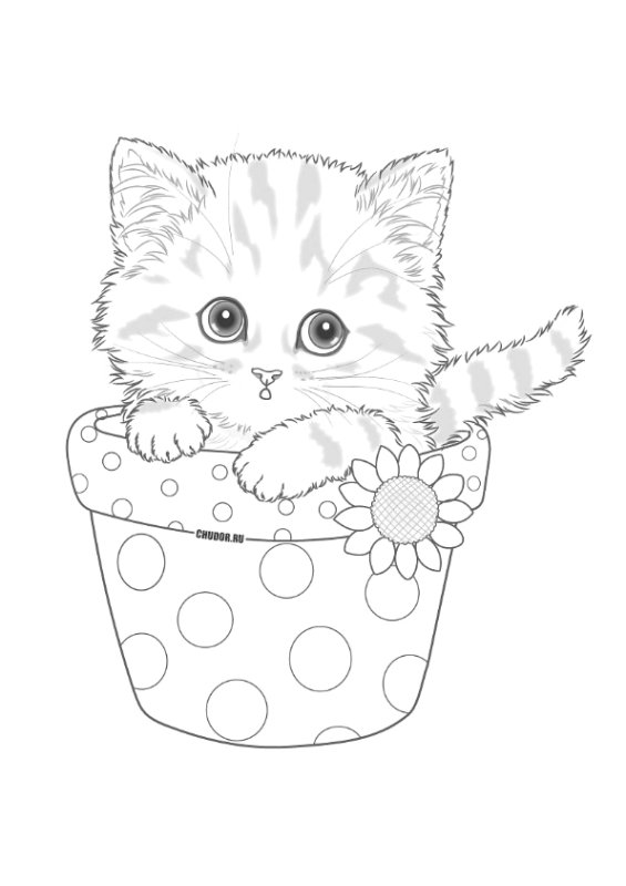 Кошки. Раскраска