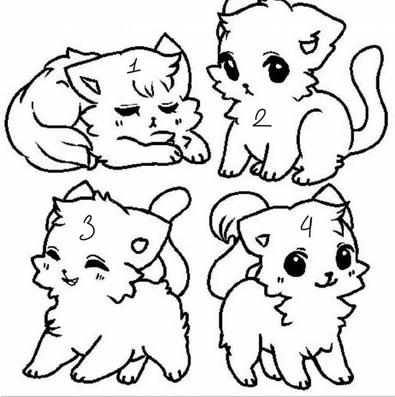 Раскраска кошка с котятами