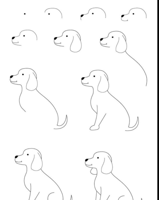Собака рисунок
