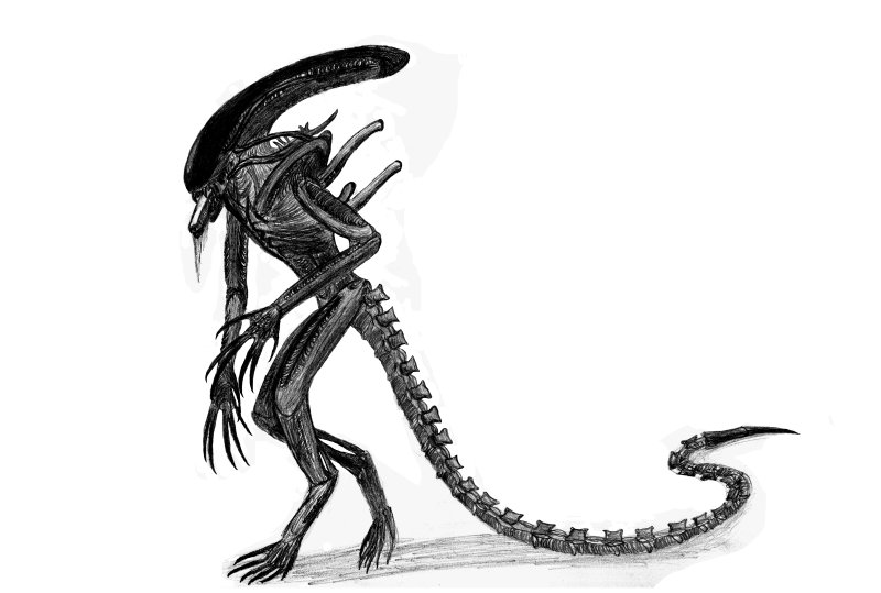 SCP Ксеноморф