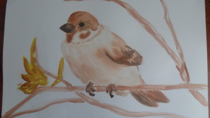 рисование воробей для детей