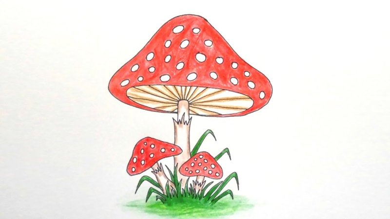 Мухомор рисунок