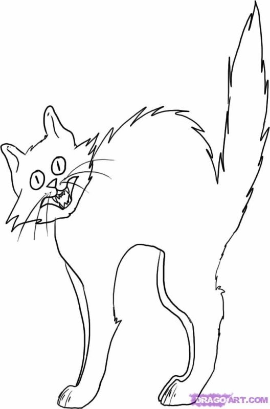 Кошка карандашом